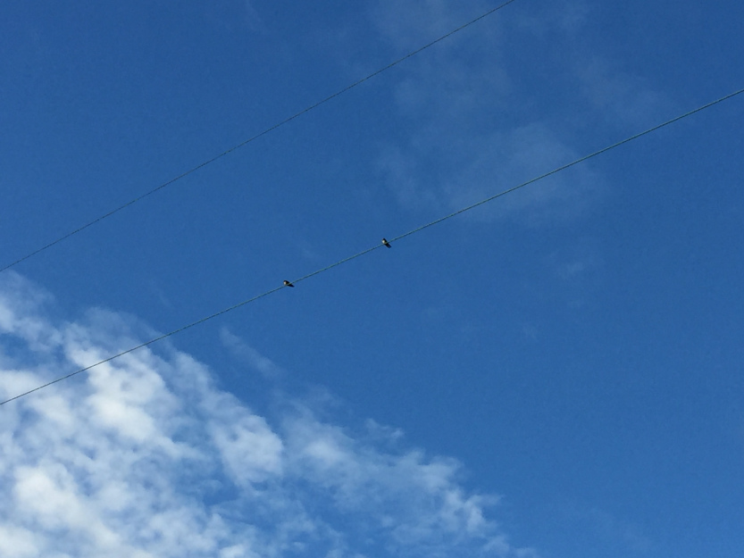 Walking, Listening and a Wind Turbine